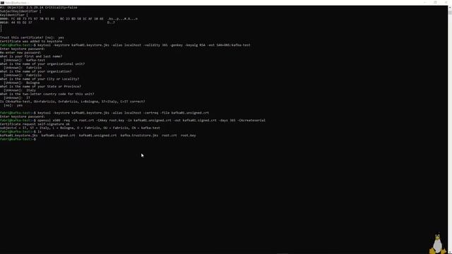 Install and Configure Apache Kafka (SSL, SASL_SSL, Kafdrop UI + Basic Auth) [Windows & Linux] смотреть онлайн