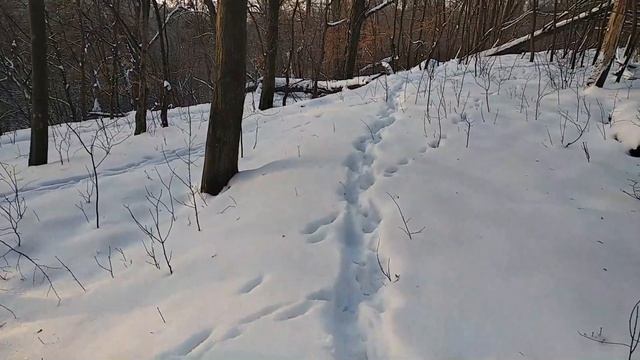 ХУТОР 19 ВЕКА.ПОИСК ХУТОРА НА КАРТЕ. смотреть онлайн