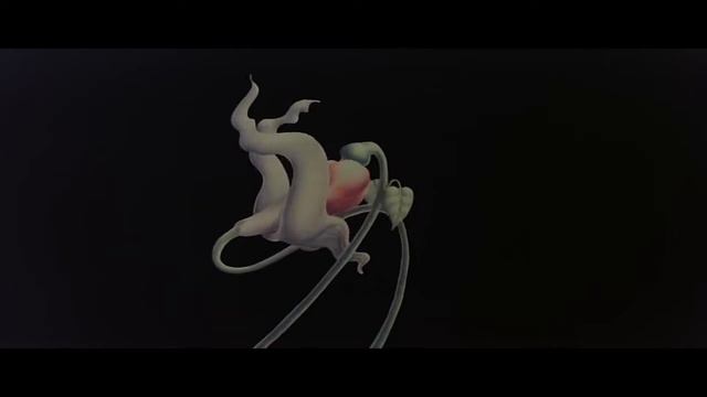 Performance the wall смотреть онлайн