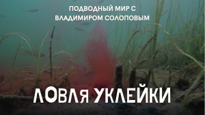 Ловля уклейки \ Подводный мир с Владимиром Солоповым