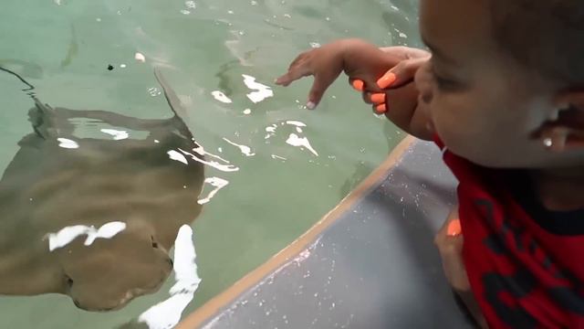 MEET KYRIE'S NEW CRUSH ❤️ смотреть онлайн