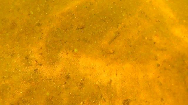 КРУТАЯ ПОДВОДНАЯ СЪЕМКА!!!На экшн камеру EKEN H9 из китая!!!Обзор часть 3. смотреть онлайн