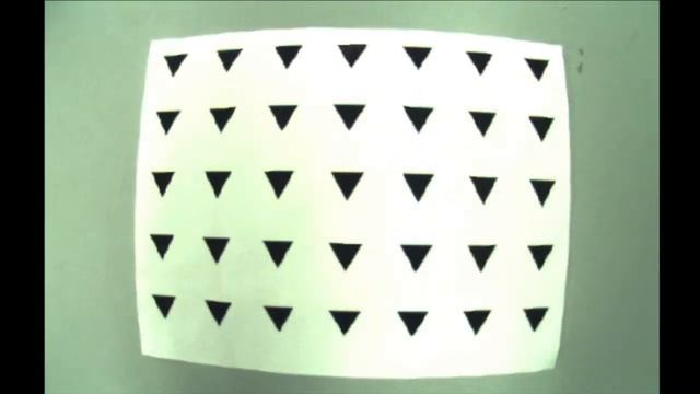 Automated Barrel Distortion Correction смотреть онлайн