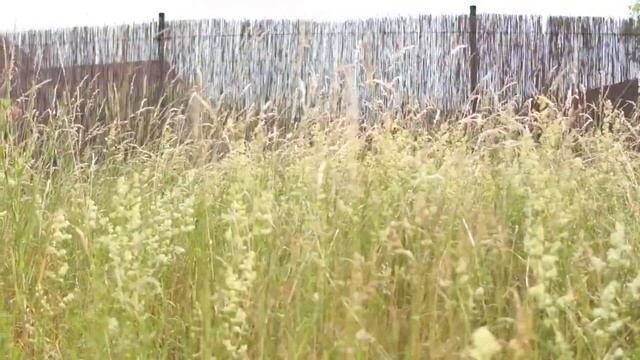 Новые косилки для мини экскаваторов Bobcat смотреть онлайн