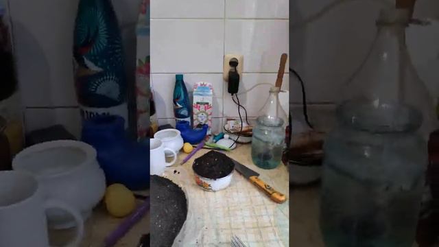 Сажаем семена лука правильно! смотреть онлайн