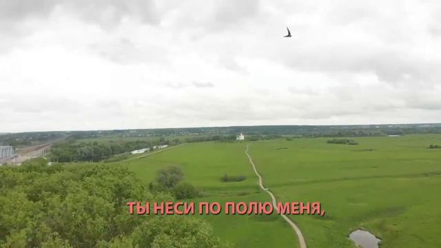 Поем все вместе "Выйду ночью в поле с конем" смотреть онлайн