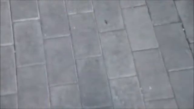 Messi смотреть онлайн