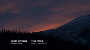 В борьбе за выживание. Полярная тундра (Охотник и рыболов)