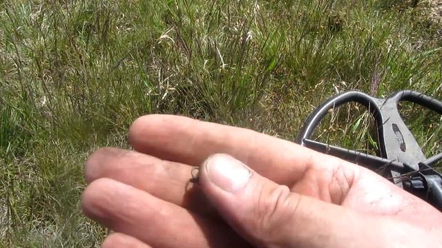 Поиск монет "добил прошлогоднее" смотреть онлайн