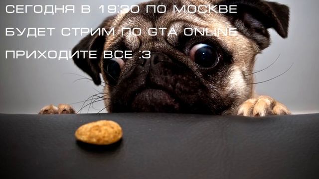 Стрим по GTA Online в 19:30 по Москве. 19.10.13 смотреть онлайн