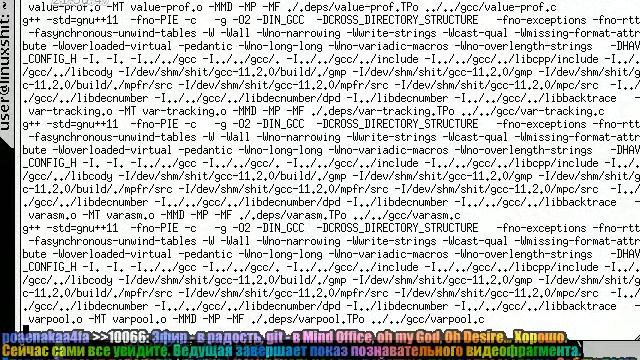 Linux From Scratch (после апгрейда памяти до 9 гигов) (2021-09-20) смотреть онлайн