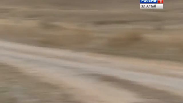 Купчегеньцы провели соревнования по конным видам спорта