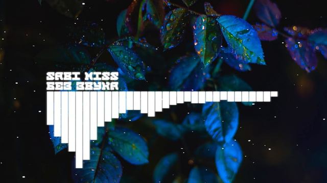 Sabi Miss - Без Звука