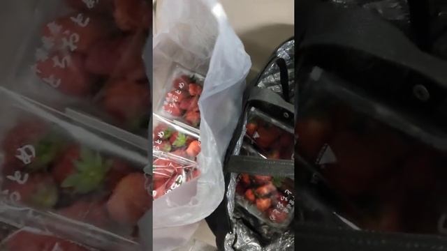 Японская клубника самая сладкая и сочная в мире. 2$ за упаковку. Как сэкономить вы Японии. Лайфхак. смотреть онлайн