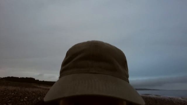 Wildlife Photography Hack - I Bought a Bin Lid смотреть онлайн