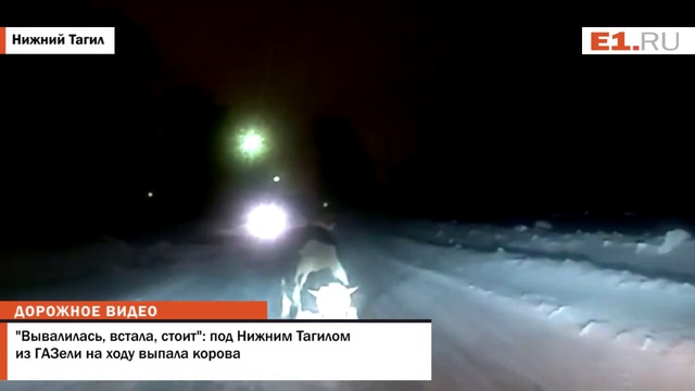 Под Нижним Тагилом из "ГАЗели" на ходу выпала корова смотреть онлайн