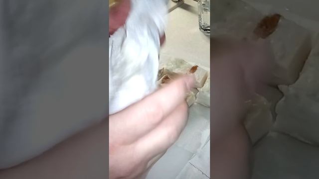 Солим сало с перцем. Сало с чесноком. Друзья просят рецепт засолки вкусного сала. смотреть онлайн