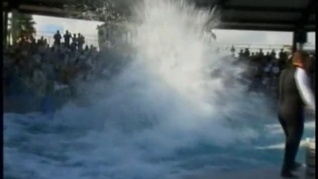 Miami Seaquarium Commercial смотреть онлайн
