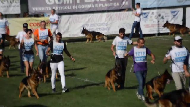 Кобели рабочий класс .Италия 2018 смотреть онлайн