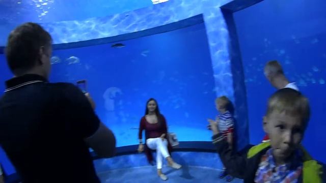 7. Приморский океанариум, Тоннель с рыбами вокруг и над головой. смотреть онлайн