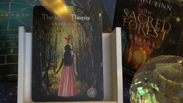 The Sacred Forest Oracle - Full Flip Through of Each Card смотреть онлайн