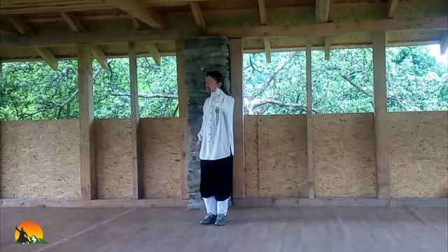 8 Методов Лун Мэнь Тайцзицюань как цигун Дыхания Телом. Карпатские хроники. Весна 2018 смотреть онлайн