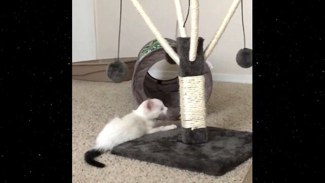 На парковке ПОД М А Ш И Н О Й ЛЕЖАЛ ОСЛАБЛЕННАЯ КРОХА смотреть онлайн