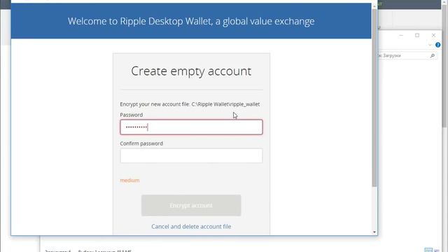 Создание кошелька Рипл -  Ripple  - Rippex Wallet