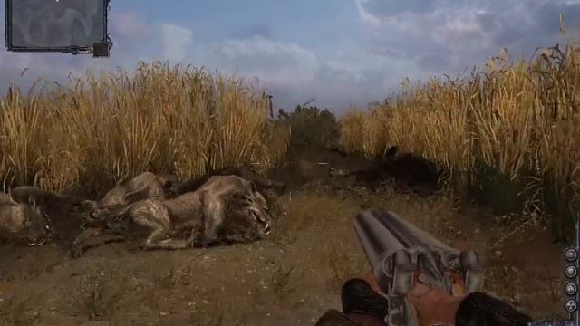 S.T.A.L.K.E.R. Чистое небо, охота на кабана