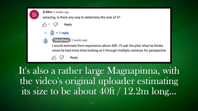 Magnapinna Squid Attack | New ROV Footage 2023 - Deepsea Oddities смотреть онлайн