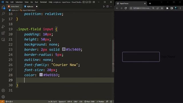 Focusing input fields with HTML, CSS - [Short Code] смотреть онлайн