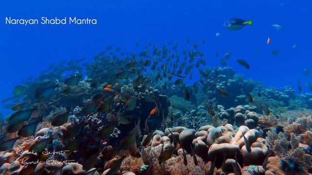 Narayan Shabd Mantra | Kiriaki Sevasti - Kunda Quantum смотреть онлайн