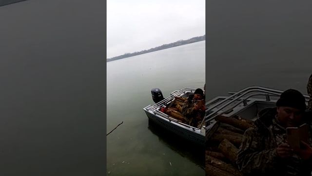 Отправитьсами пилят а людей казнят смотреть онлайн