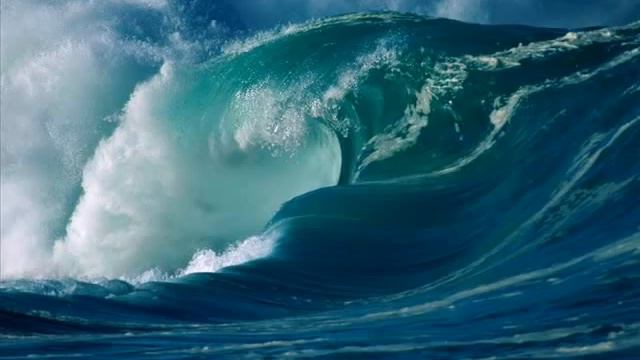 Eurico Carrapatoso - Mentes, Peer! | Nr.1 смотреть онлайн