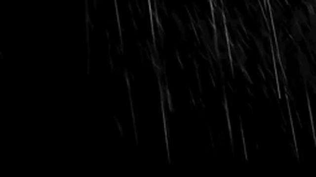 #rainsounds #raining #rainforest #Звукидождя Звуки дождя в тропическом лесу для сна или учебы смотреть онлайн