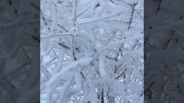 Уже пришел к нам 21 год... смотреть онлайн