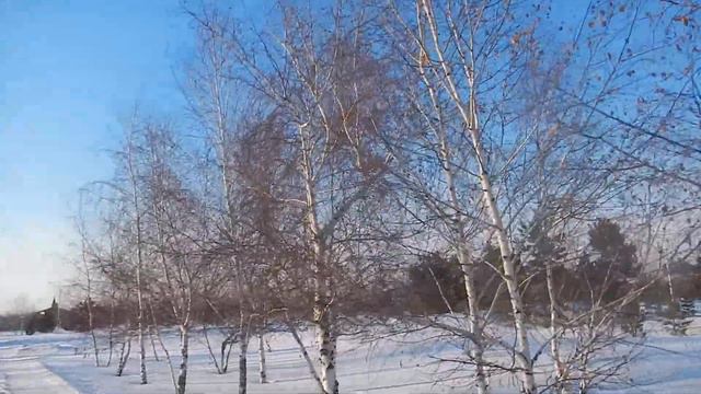 Саженцы Этнопарка выросли в деревья смотреть онлайн