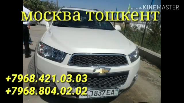 Москва Ташкент такси