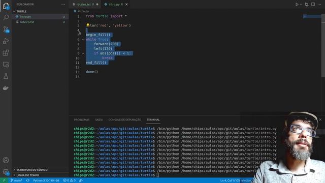 Introdução à programação com o Python Turtle смотреть онлайн