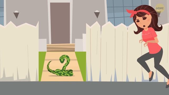 Как поймать змею, которая заползла к вам домой смотреть онлайн