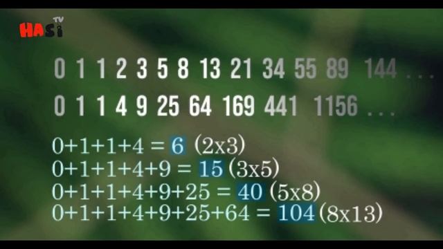 Fibonacci Series in Nature Explained| Urdu / Hindi смотреть онлайн
