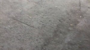 СЕЛЬСКИЙ ОБЗОР мопеда Джордан (мини-чоппер Jordan 110cc 50Q-D)