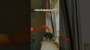 Драконы из бумаги, Драконы из тт