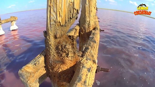Коряковка Павлодар / Коряковское соленое озеро / Своим ходом / Туризм 2020 / Семья Соколовых смотреть онлайн