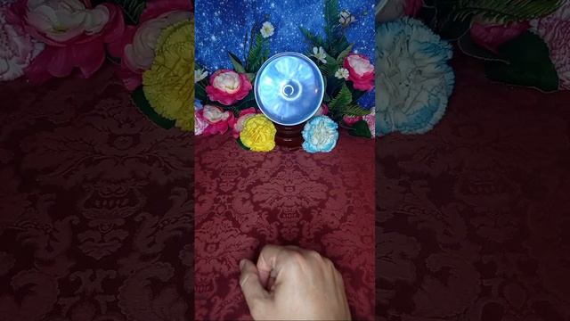 TAROT EN DIRECTO: RESPONDO A TODAS TUS PREGUNTAS смотреть онлайн