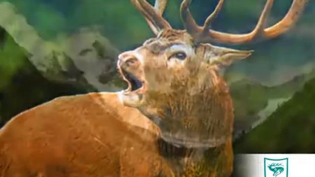 Юг Казань 2012 смотреть онлайн