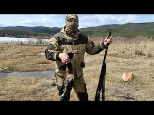 Моя первая охота, Huglu Veyron отлично справился с задачей.