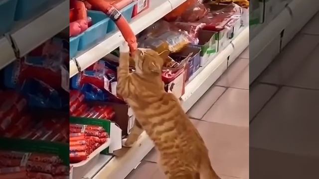 деньги потом отдам смотреть онлайн