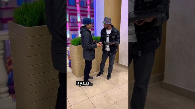 😂Алиса навигатор суетовый жёт смотреть онлайн