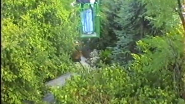 Estate 1998 Gardaland